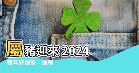 豬年運程|2024屬豬幾歲、2024屬豬運勢、屬豬幸運色、財位、禁忌